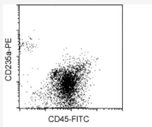 Leukocytes were separated from whole blood using StraightFrom Whole Blood CD45 MicroBeads and the autoMACS Separator with program Posseld2. Cells were fluorescently stained with CD45-FITC and CD235a (Glycophorin A)-PE.